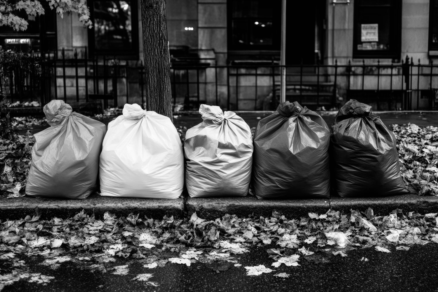 AdobeStock_1082099367